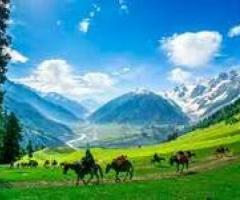 Places to visit in India | Best Places to Visit In India in 2023. - Delhi