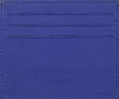 Assess - Ladies wallet - Kanpur