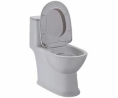 Best flushing rimless water closet - Delhi