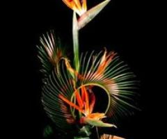 Flowers Delivery in Delhi | Flower Delivery Delhi Online | India Best Florist on - Delhi