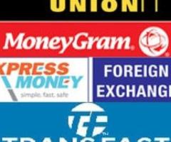 Dollar Exchange Delhi 9811329811 Send Money Abroad - Delhi