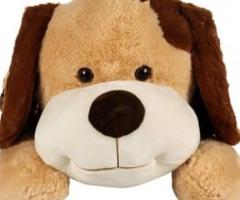 Trendy Kids Soft Toys Available at Affordable Prices - Bangalore