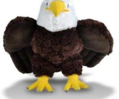 Trendy Kids Soft Toys Available at Affordable Prices - Bangalore