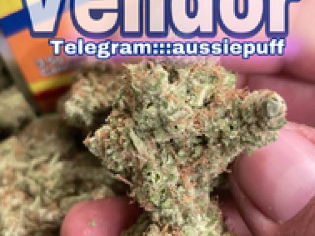 Buy weeeed, coocaine, mushroommms, pillls, steroiddds - Delhi - 1