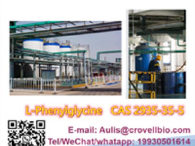 L-Phenylglycine, buy L-Phenylglycine Powder Seller - Bagalkot - 1