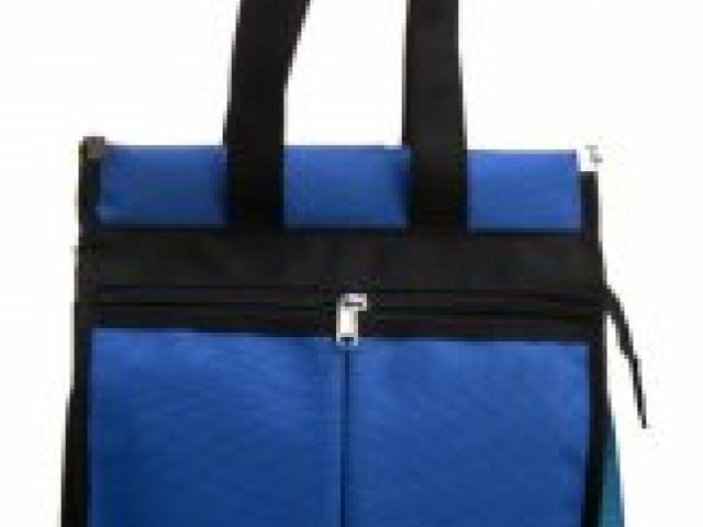 OMAX_L_Multi-Purpose bag Black & Blue - Lucknow - 1