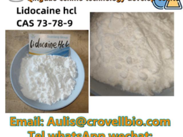 Buy Lidocaine HCL Powder Online - Ahmadnagar - 1