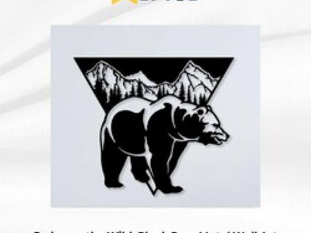 Upgrade Your Decor with Premium Animal Metal Wall Art - Gurgaon - 1