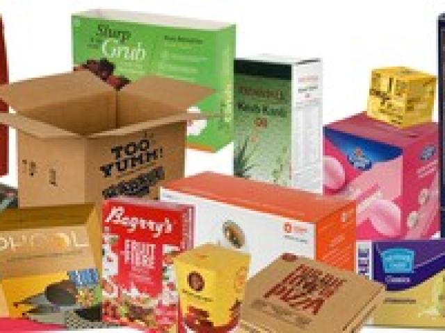 MJ Global Company Profile and Overview - Delhi - 1