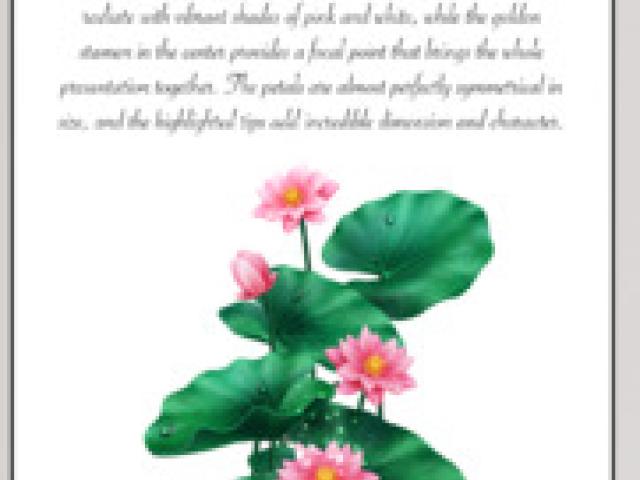 Arts and Design Posters, Frames and Canvas. - Bangalore - 1
