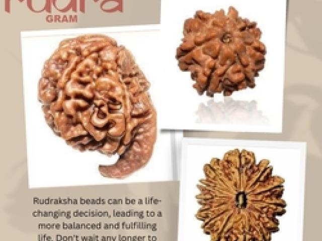 Rudraksha Beads: Gateway to Inner Harmony and Wellness - Mathura - 1