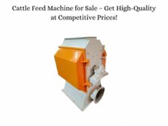 Cattle Feed Machine for Sale – Get High-Quality at Competitive Prices! - Jaipur - 1