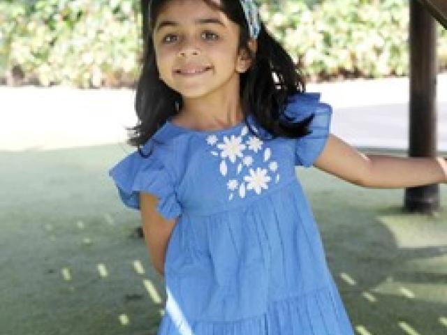Dresses For Girls: Flutter Sleeve Embroidered Dress - Navy Blue – Ola! Otter - Mumbai - 1